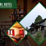 Emerald trail - Homestay in Bhimtal.