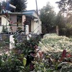 emerald trail homestay