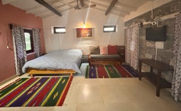 a room with a bed and colorful rugs